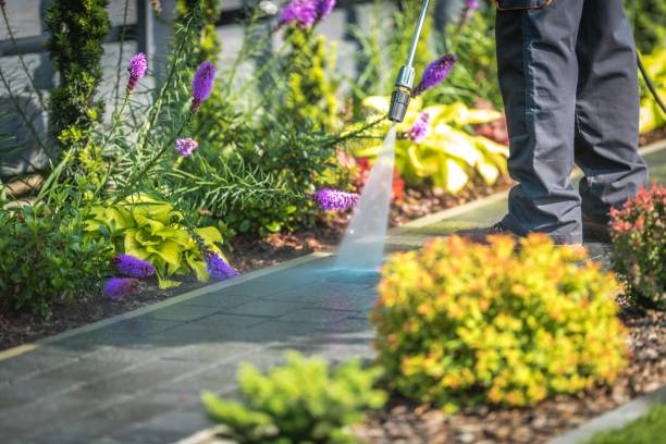 Best Parking Lot and Garage Cleaning  in Lake Oswego, OR
