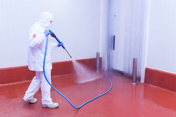 Best Pool Deck Cleaning  in Lake Oswego, OR